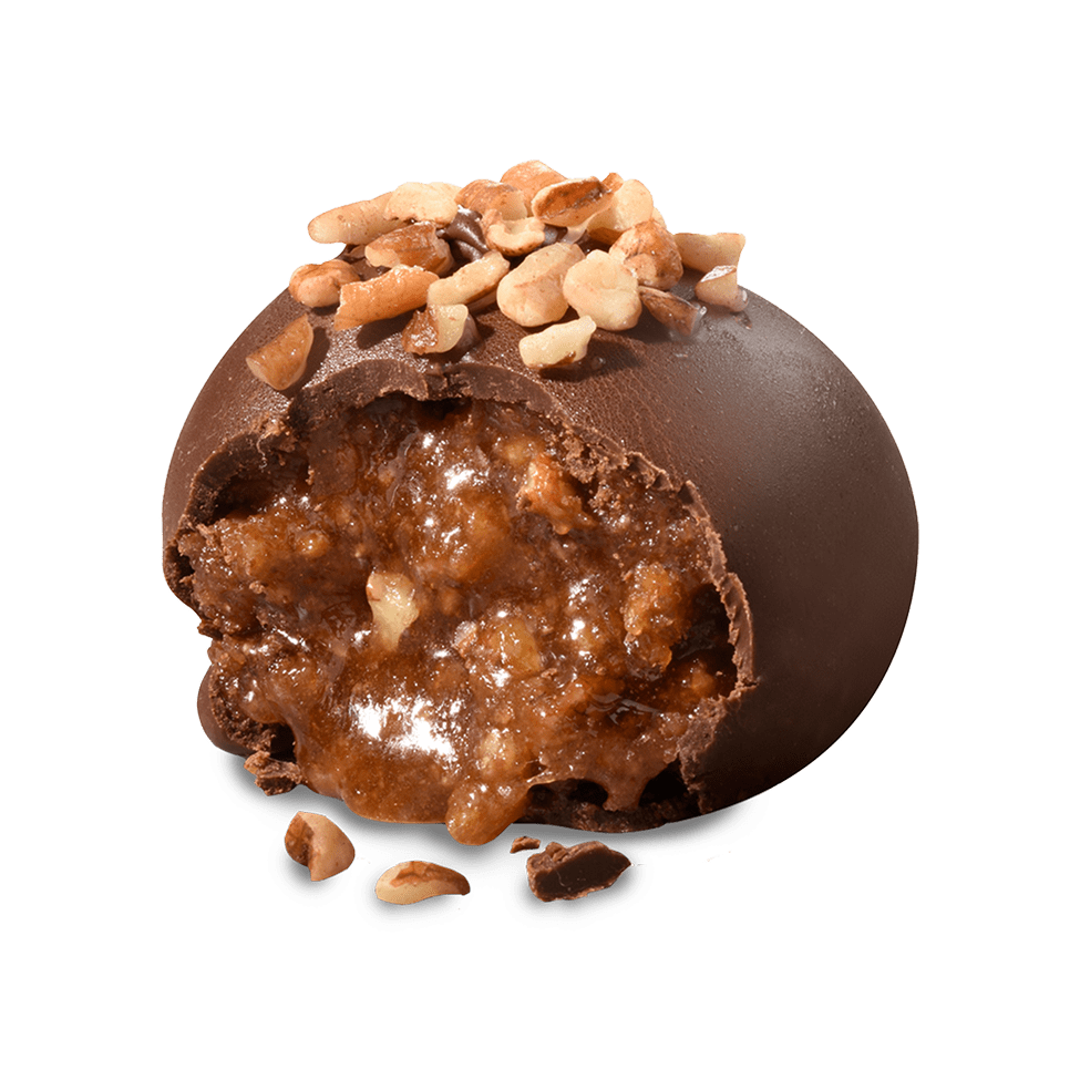 Praline Chocolate Truffle